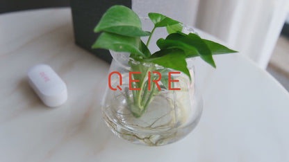 Les écouteurs QERE